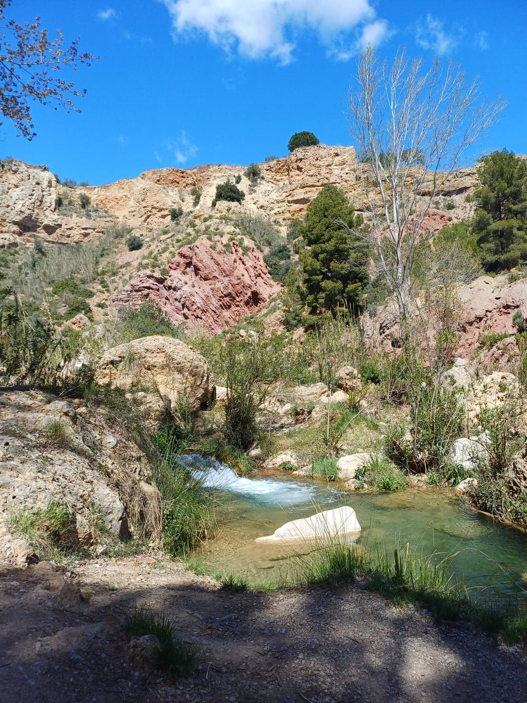 Rivier door een kloof